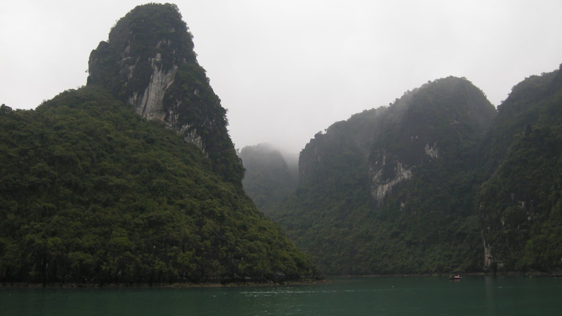 Forested limestone karsts rising from calm green water in Ha Long Bay, their tops hidden in low fog