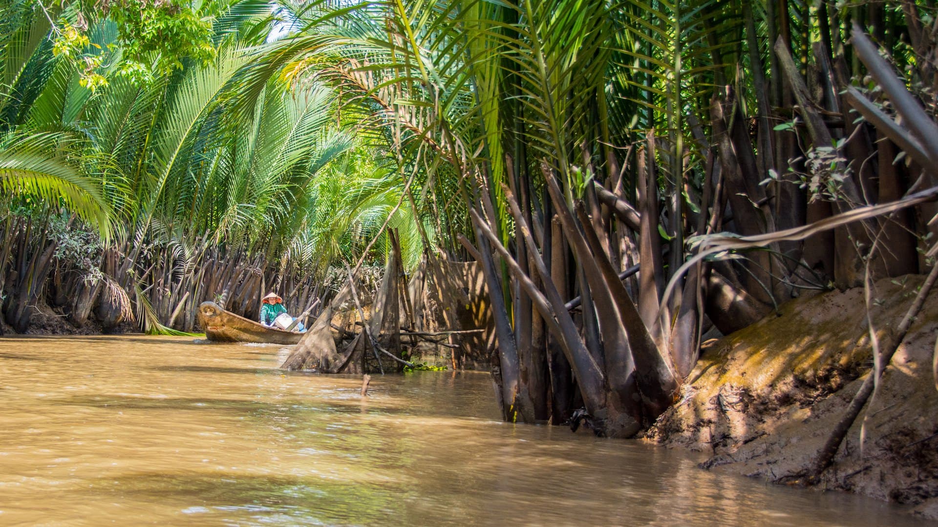 A rower in a conical hat paddling a wooden sampan along a narrow brown canal near My Tho in the Mekong Delta, water-coconut palms arching overhead and their spiked trunks lining the bank