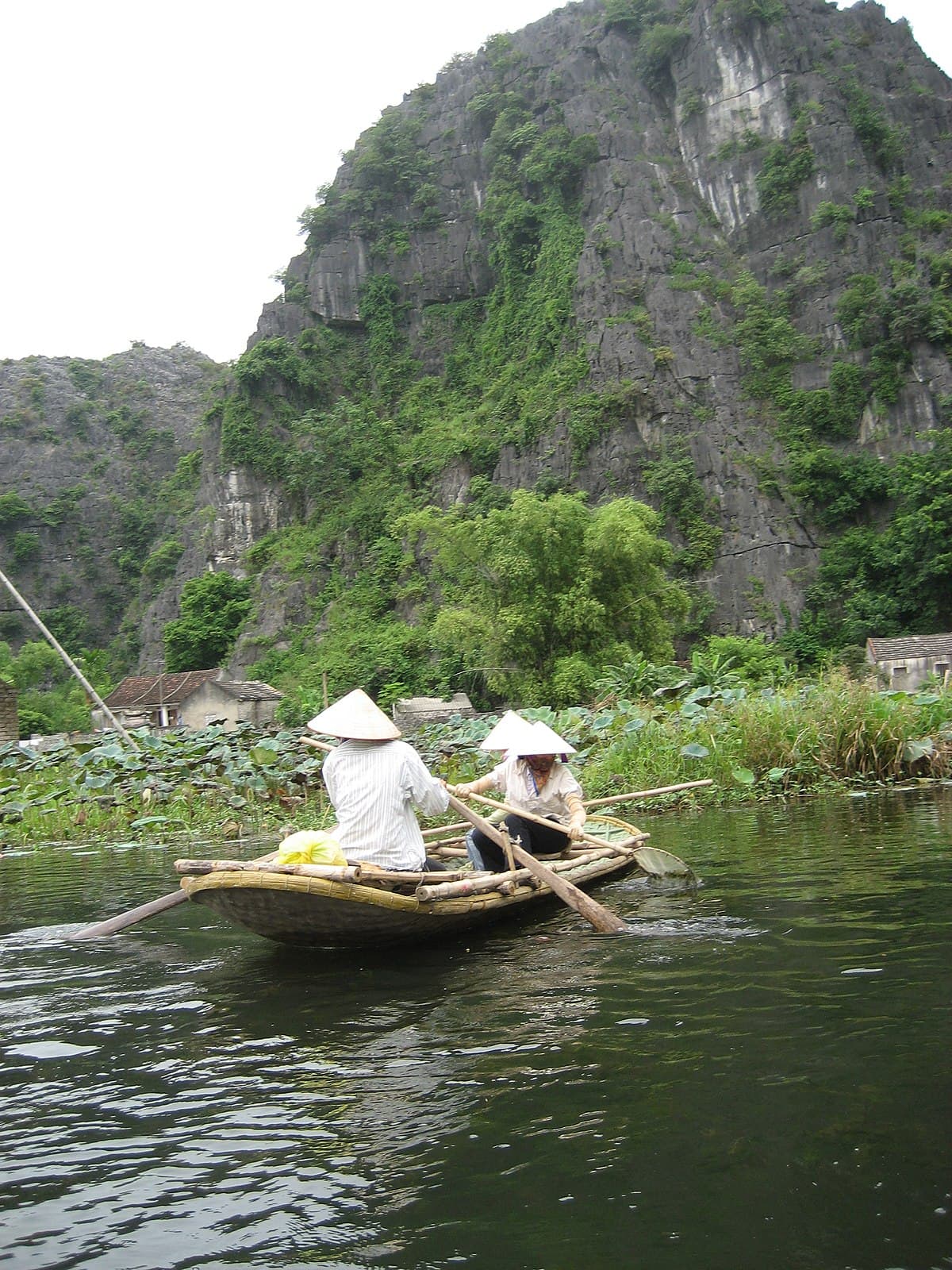 Two women in conical hats rowing a boat on the Ngo Dong river through karst mountains in Tam Coc, Ninh Binh, northern Vietnam