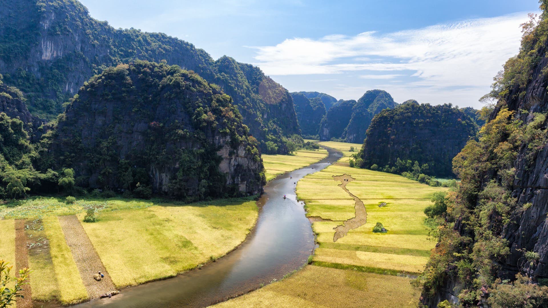 Golden rice fields and a winding river run between forested limestone karsts at Tam Coc, Ninh Binh, seen from a hilltop.