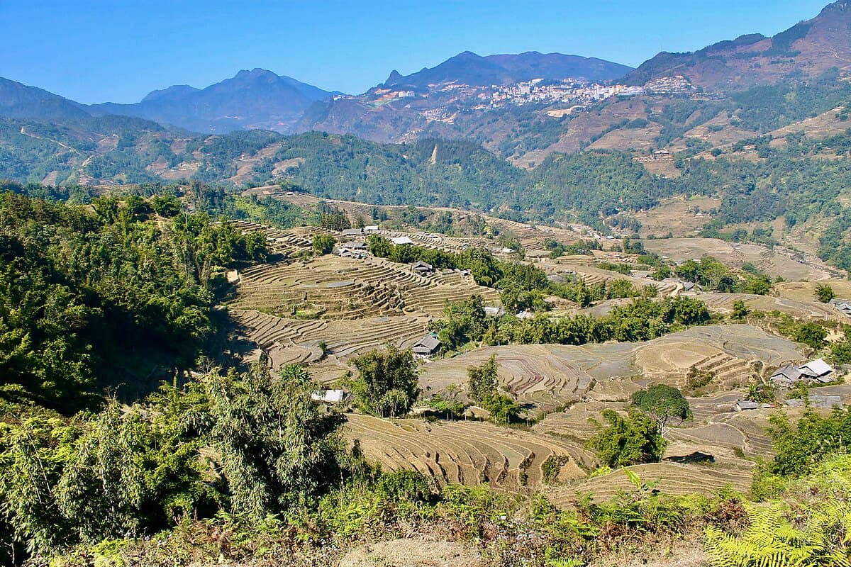 Rice terraces in Sapa with a H'mong woman walking the path