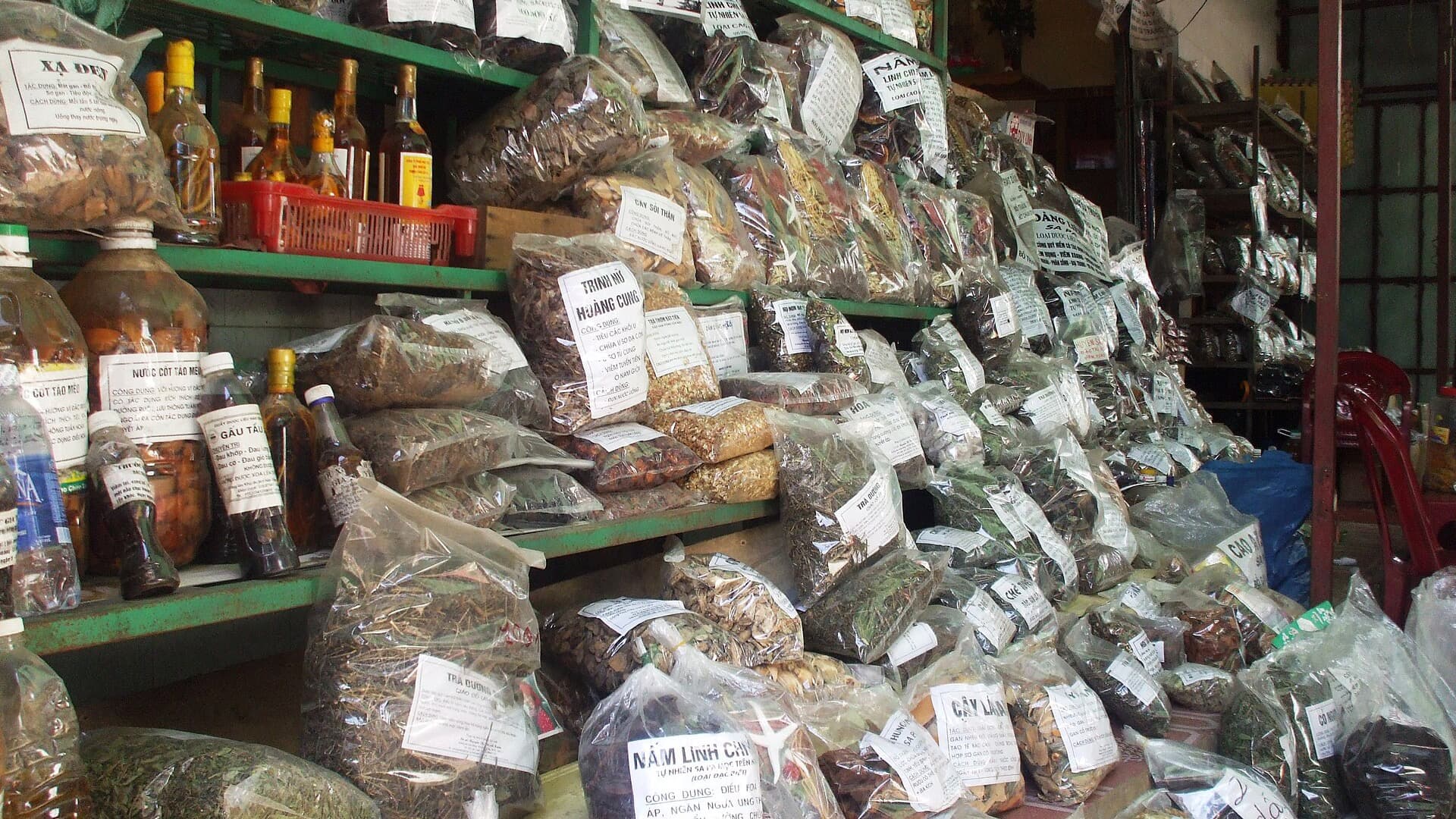 Hand-labelled bags of dried herbs, roots, bark and mushrooms stacked on green shelves in a traditional Vietnamese herbal medicine shop in Sa Pa, with jars of steeped infusions along the front
