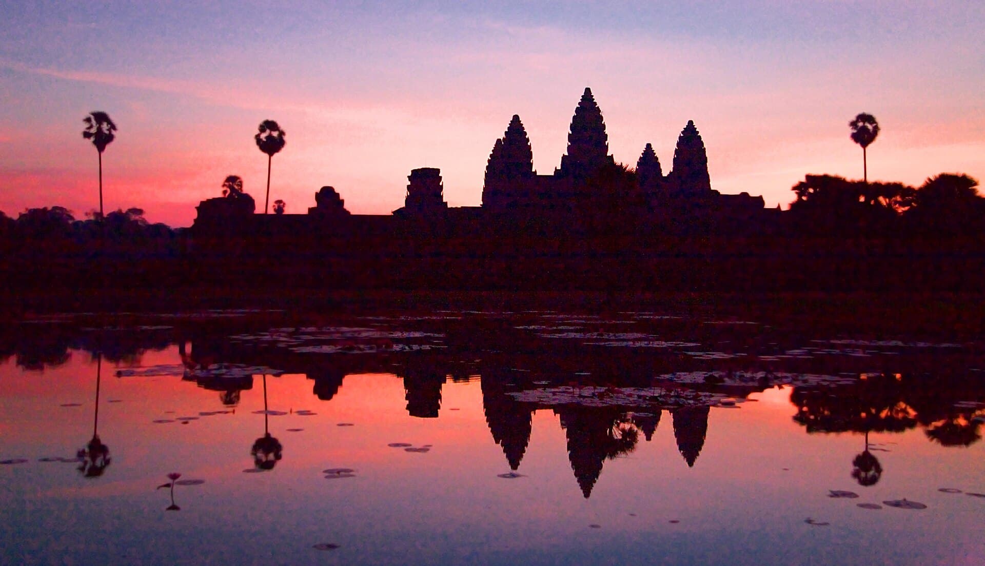 The five towers of Angkor Wat silhouetted against a pink and violet pre-dawn sky, mirrored in the lily-covered reflecting pool in front of the temple