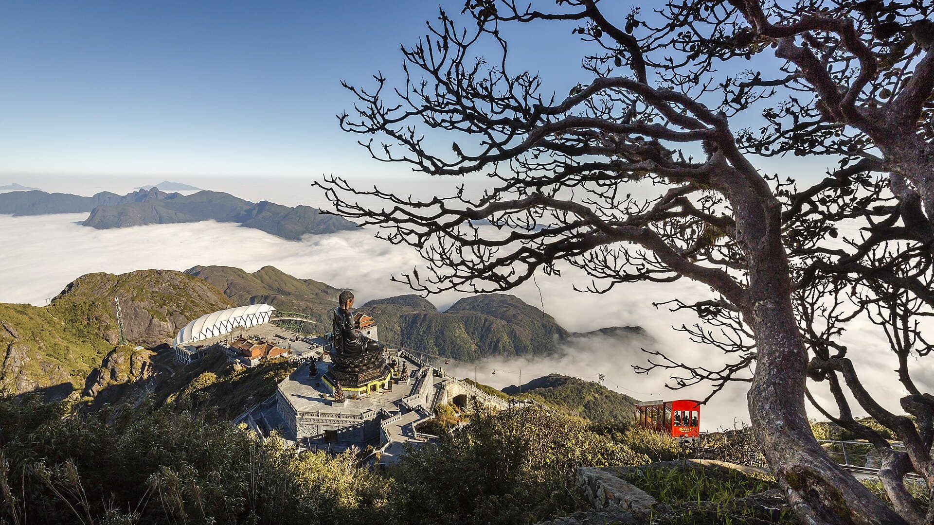 A bare tree framing the Fansipan summit complex above a sea of clouds, with the seated Buddha statue and a red cable-car cabin on the ridge below