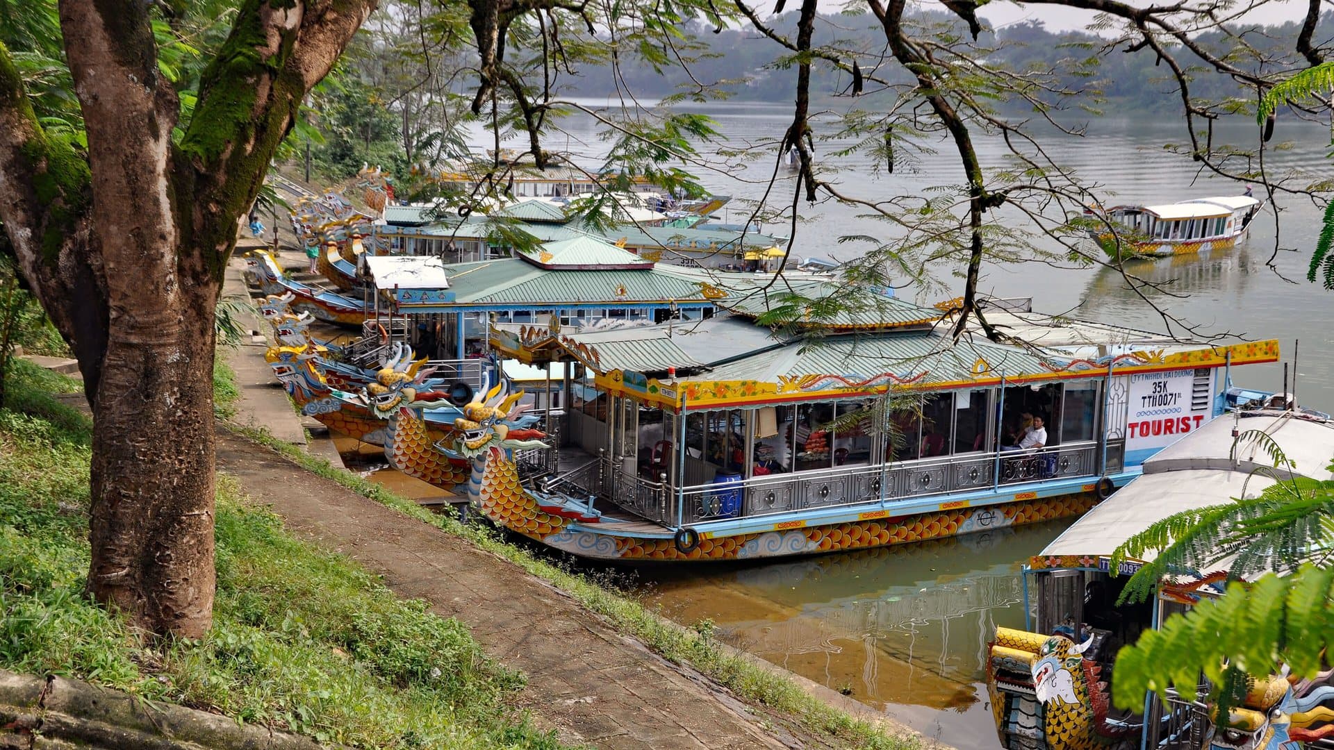 Brightly painted dragon-headed tourist boats moored along the Perfume River bank in Hue beneath riverside trees, the boats that carry visitors upriver to the pagodas and tombs