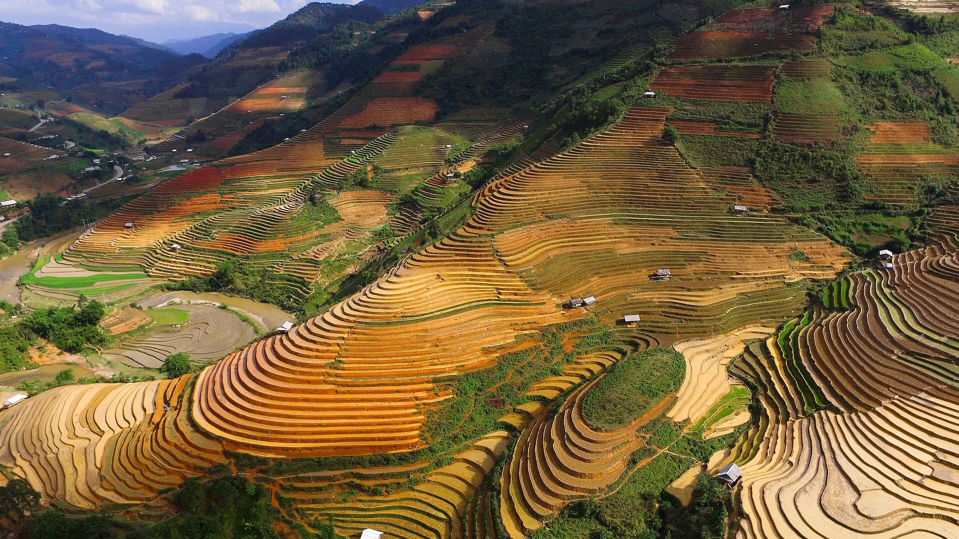Aerial view of golden terraced rice fields at harvest in Che Cu Nha commune, Mu Cang Chai, with farmhouses scattered among the terraces and a river valley beyond