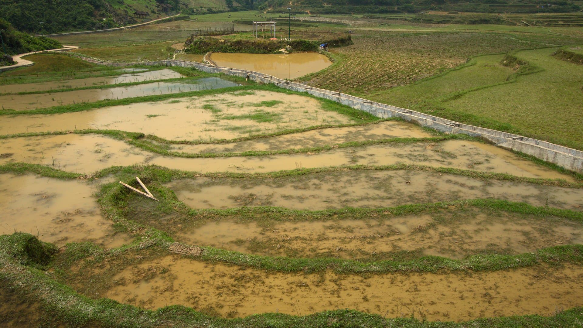 Flooded rice terraces stepping across a valley at Quang Thanh in Cao Bang province, with green hills behind